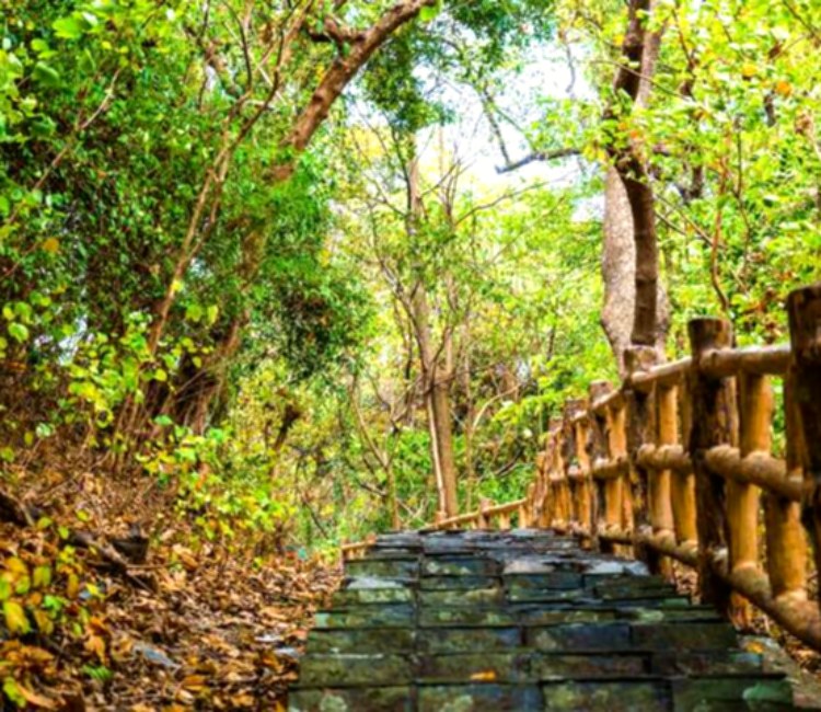 洲仔濕地公園