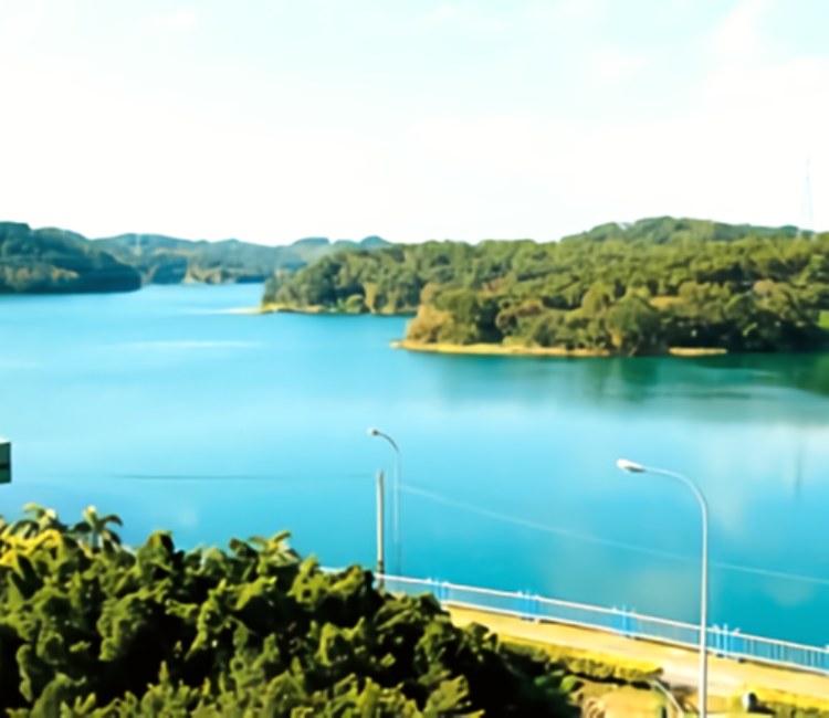 永和山自行車觀光園道